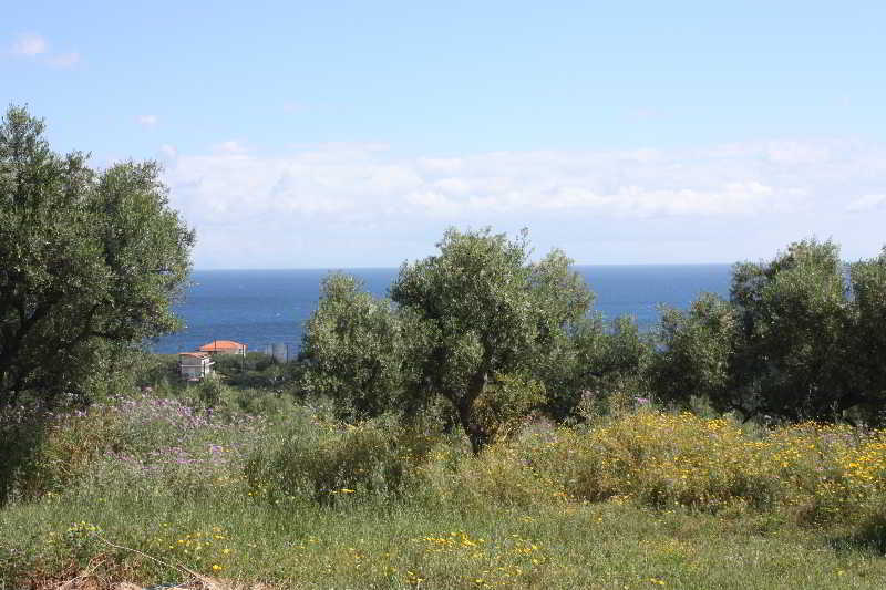 Aparthotel Lofos Soilis Tragaki Esterno foto